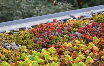 the cost of Burrough On The Hill green roof installation