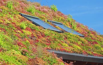 Burrough On The Hill living roof systems